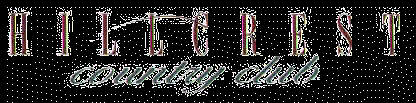 volunteer opportunity image